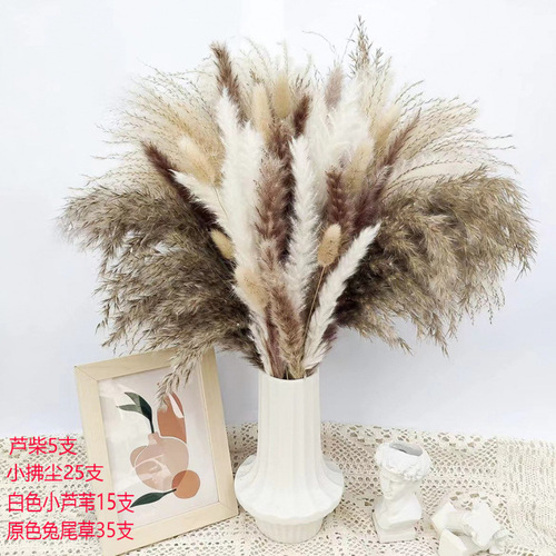 Hot-selling reed set: pampas grass, small reeds, dried flowers, rabbit's tail grass, small dusters, decorative ornaments, living room flower bouquet arrangements.