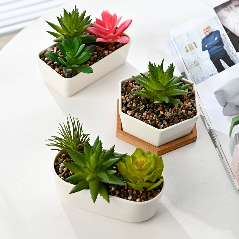 Nopin белый фарфор, мясистый маленький цветочный горшок, трансграничный специально для фабрики прямых продаж простой мясистый горшок столешек, маленький цветочный горшок