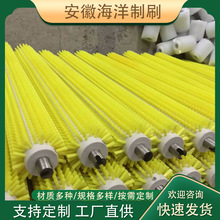 �SɫPPTëˢ݁ ������ϴ�Cëˢ ������mëˢ݁ ���a���M��ëˢ݁