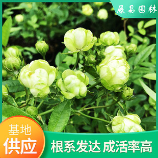 �G���¼���΢���¼����໨�¼�õ���̨�S�����^΢���ļ��_���Gɫ