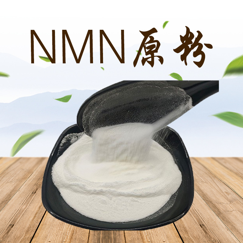 β-烟酰胺单核苷酸 NMN原粉 nmn  酶法 1094-61-7