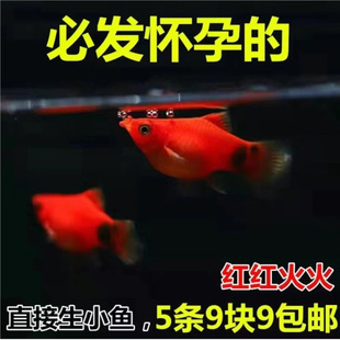 �����~ �¹��~ ̥���~ С���~ �^�p�~ �Ꭷ�~ ���B�������~