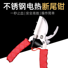 獣は電気で加熱して尾を切って子豚を切ります。