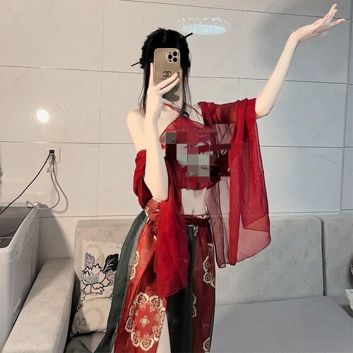 Sexy lingerie, female sexy bellyband, tempting printed Phoenix flying solid color see-through uniform, exotic ancient style dance costume