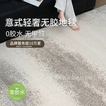 客厅地毯无胶防水抗污抑菌意式轻奢现代简约高级感沙发卧室床边毯