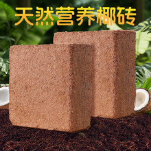 Ҭ�u��K9��Ó�}Ҭ�u�Nֲ�I�B�����sҬ���N������Nֲ����KҬ�u