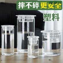 ˮ����������͸���A���λ����߲˶��N�Ӷ�����֦�t����ֲ�@�Nֲƿ