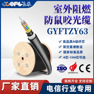 ����ҧ���|����GYFTZY63���|��ȼ�ǽ��ټӏ�о12о24о������|