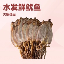 批发水发鱿鱼朝鲜族鱿鱼烧烤火锅餐饮干250g样品干货海鲜