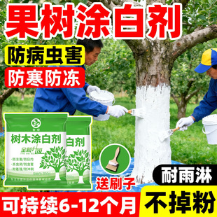 ���䌣�ÉT�ׄ���ľ��ɿ����������x����ˢ��ʯ�ҷۈ@�ַ��o�辰