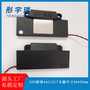 G20ǻ�wAAC1217��ņ��w���� �P�� ƽ����X ��Ę�R�e���w