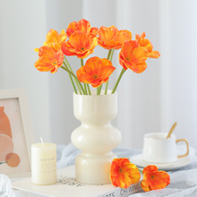 ���滨С��֦pu�������ڻ� ��Y�Y�ÔzӰ���߼Ҿ��b[�����컨