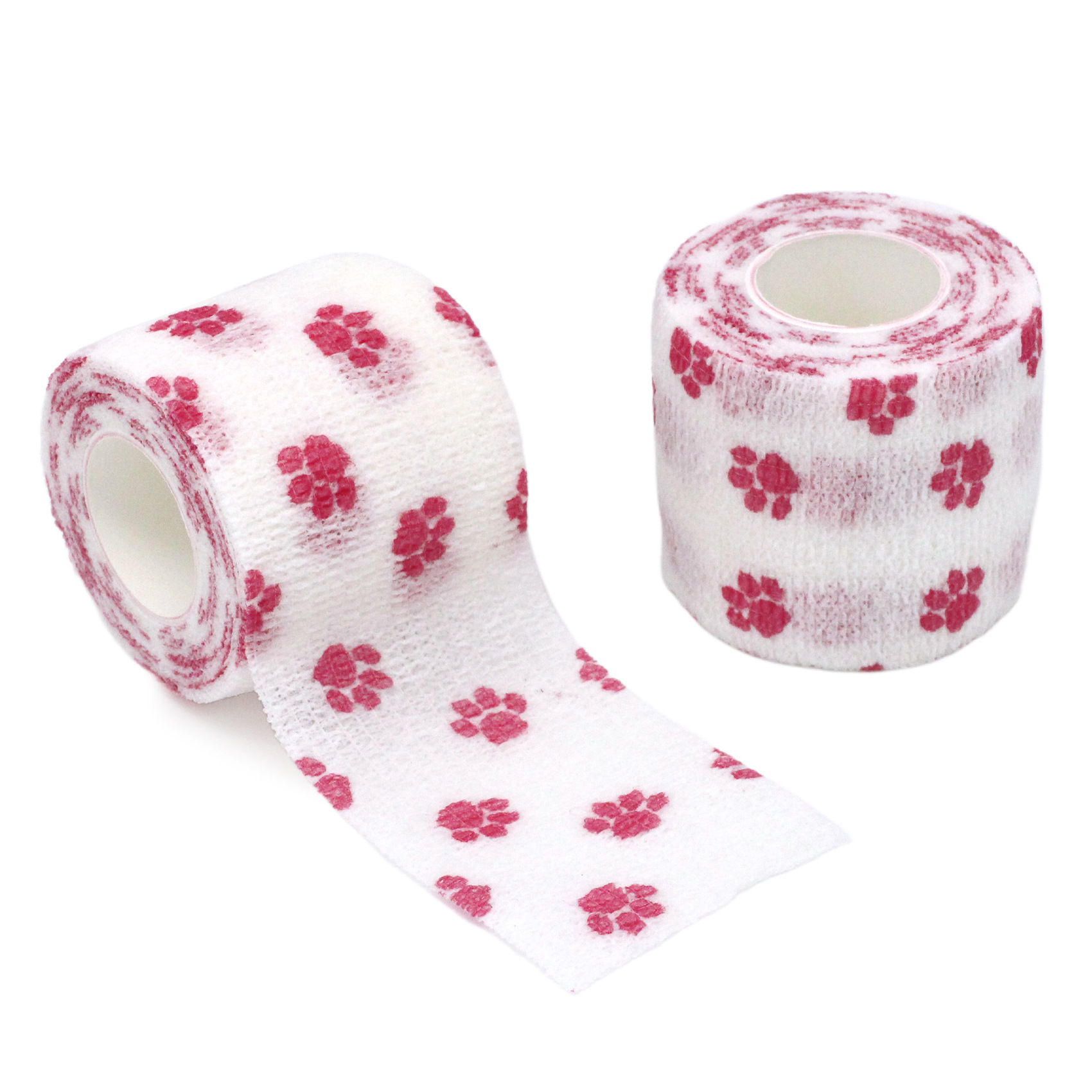 Garra Rosa pequeña sobre fondo blanco