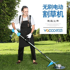电剪刀;割草机;电链锯