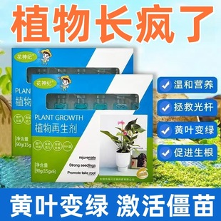 Plant Regenerant Flower Green Plant Potted Plant Universal Light-pole Yellow-rich Tree Fleshy Growth Concentrated Nutrient Solution