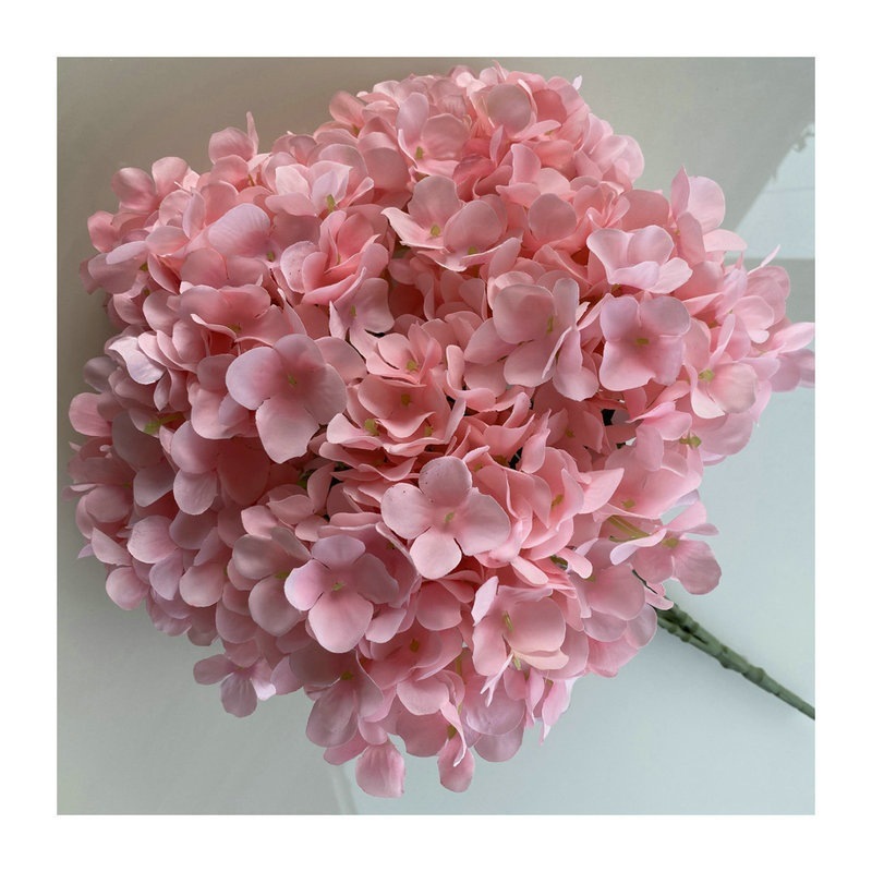 毛布5頭のフランスのアジサイは、ホテルの結婚式の生け花を飾って多色のアジサイの花の花束を卸売りします。|undefined