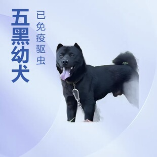 ���l���N�����Ȯ���w��������Ȯ�o�lȮ������CȮС���������CȮ