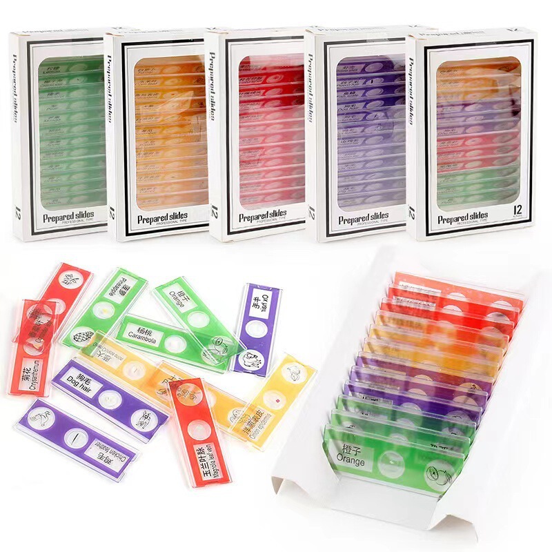 Children's Microscope Specimen Slides, Animal, Plant, Insect, and Biological Slides, Microscope Toy Set, Manufacturer Wholesale
