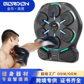 其他健身器材;其他搏击用品;健腹器