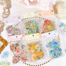 ʰ��PET�N���� ���Ή���ϵ�� ���⻨��ֲ���֎�DIY�ز��N�� 6���x