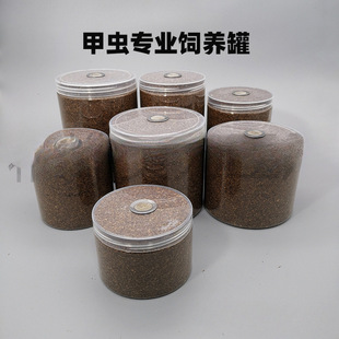 ���x��B�ު����ɳ��x���x��B�д��x�@���@���x�������x��B��