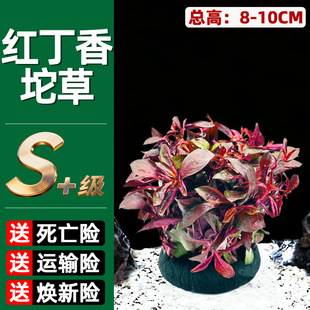 �t��������~��ˮ��ֲ����Ե�ˮ���֑���ˮ���쾰ˮ��Gֲˮ�B