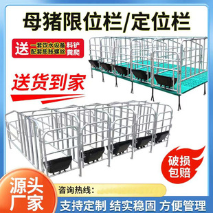 母猪定位栏离地猪用限位栏带复合漏粪板猪圈猪栏养殖单体母猪定位-阿里巴巴