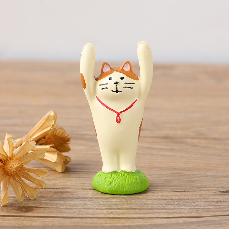 다시 모자 제기 손 고양이