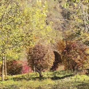 ���Ǘ��� ��l����  ���Ǘ� ��l��  50-180 �U�� ���U���Ǘ���