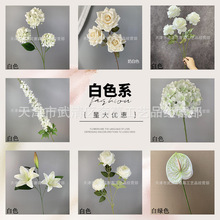 ���滨��ɫϵ���� ��Y�ò廨·������ ��c�������ٻ����Q���l