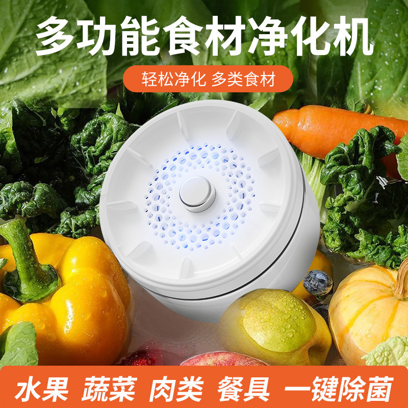 新款升级转转果蔬净化器洗菜神器食材清洗机除菌除农残自动洗菜机