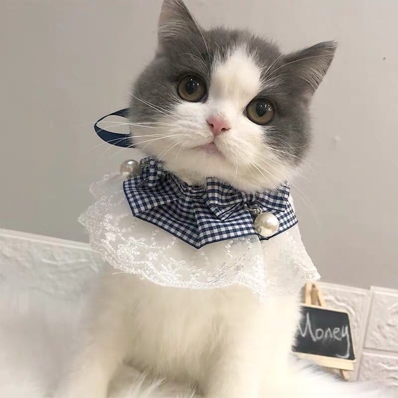 猫の首を囲むクリスマスのよだれレースのぬいぐるみペットの犬のマフラーの装飾の蝶ネクタイの猫の装飾品の犬のよだれかけ|undefined