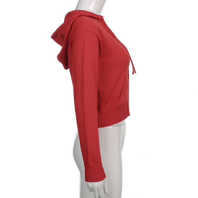 Hoodies Midriff-Baring Solid Jersey Regular Zipper Short Coat