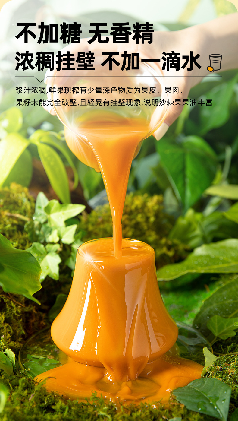 Sea Buckthorn Juice Puree 300ml 10 Sachets Gift Box Ready to Drink Shā Jí Yuán Jiāng quality and texture