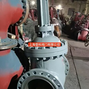 Z541Y-64C DN500���X݆�l�y �ք��T䓸߉��l�y Ӳ�|�Ͻ�WCB�l�y
