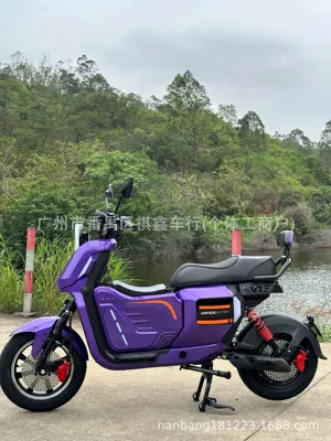 New U2 Cross-Border Export Electric Elektrikli motosikletlər - purple-export-bare-bike-with-battery