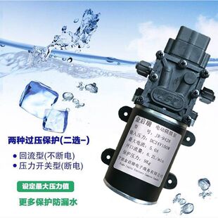 24V100W΢��������������ˮ220Vˮ��С�͇��F��ֱ��̫��ܸ�Ĥ��