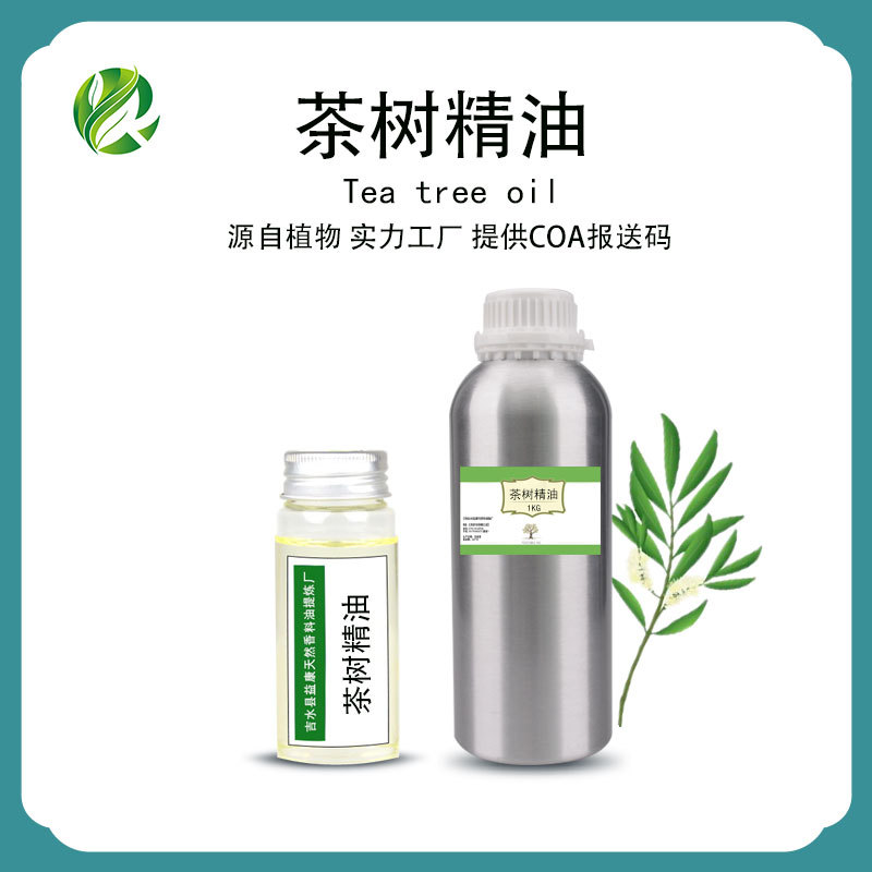 澳洲茶树精油互叶白千层油植物单方精油面部护理香薰精油现货批发