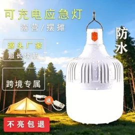 LED球泡灯;LED应急灯;野营/露营灯