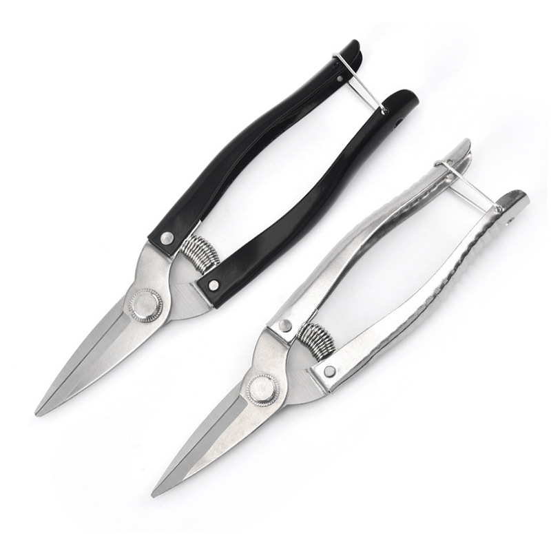 不锈钢罗定果剪园林修枝剪刀摘果采果剪刀多功能花卉园艺插花剪刀