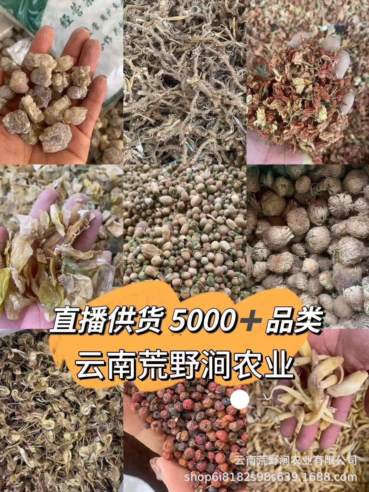 Yunnan Mushroom Gift Box Dried Tea Tree Mushroom and Shiitake Mix 150g Culinary Soup Gift in use
