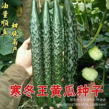 �������S�ϷN�����M�طN�����ļ����������߲����Թ�����ˮ���̨