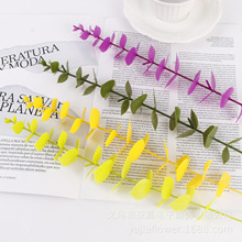 �����ȼ����~ ���ϼ�ֲ�� �Ҿ��b� �[�� �Ĕz�C�� ��ɫ�ȼ���