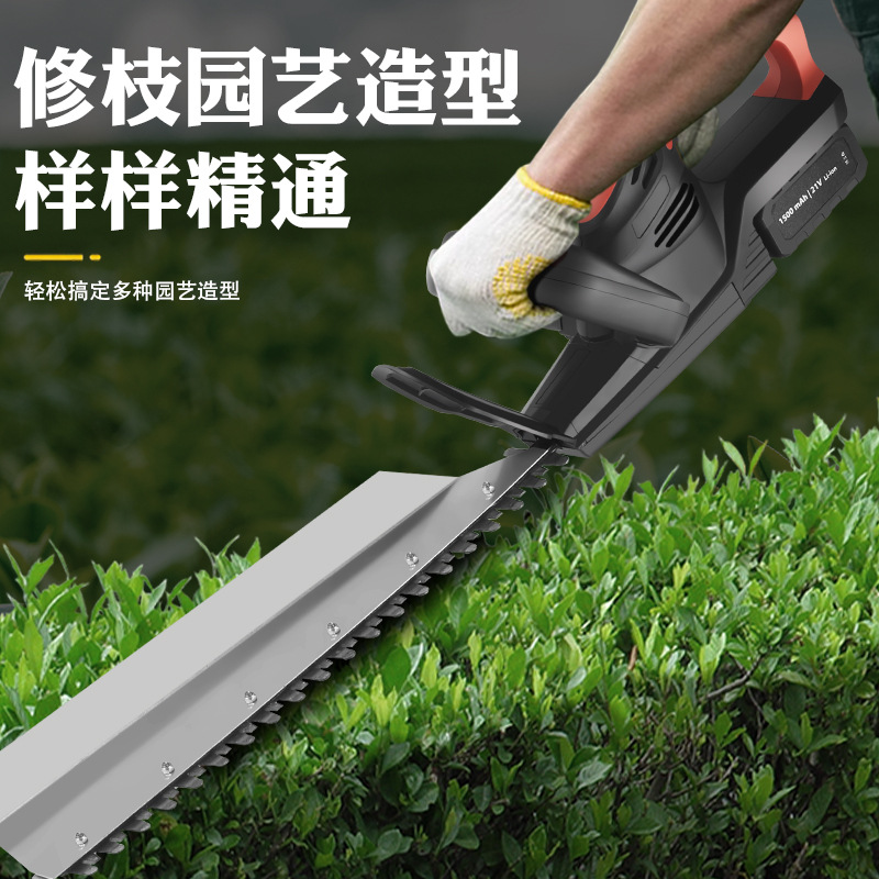 860fcf0414b28e42a728003826a233