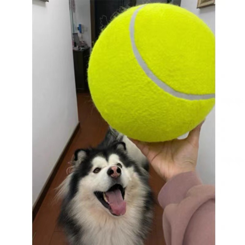 微信图片_20221213141938