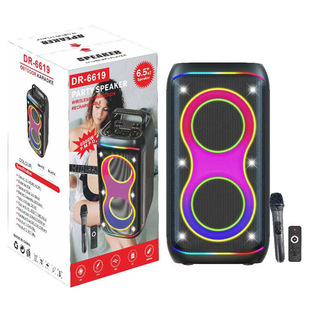 Dr-6619 Dual 6.5inch High-Power Home Karaoke Speakers with Microphone Bluetooth Speakers Square Dance 40W Bass