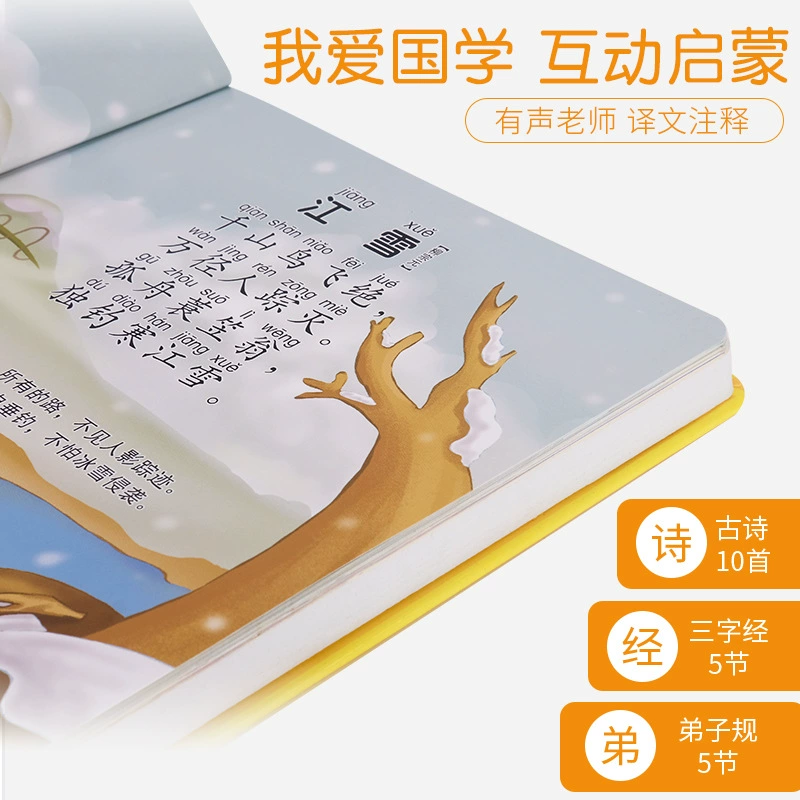 智慧鱼 Interactive electronic audio book for students, makes sounds, Chinese studies, with sound