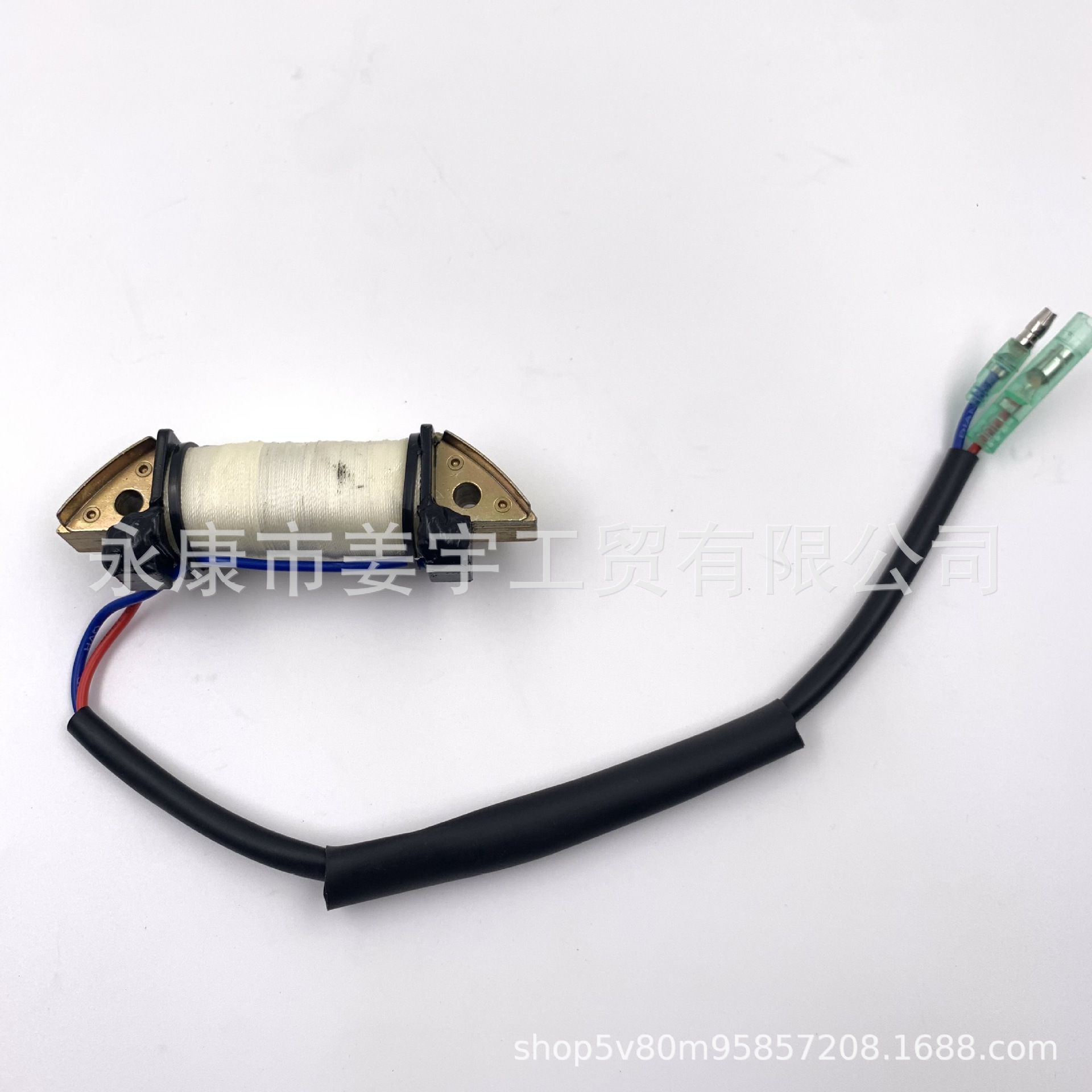 东发T18 2冲程配件充电线圈 船外机配件3G3-06021-1