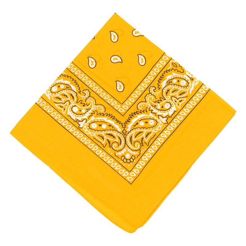 In stock wholesale sports outdoor accessories riding headscarf Paisley cashew flower hip hop Hip Hop Hip Hop polyester small square scarf
