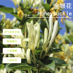 �ջ��㾫 ޹Ϟ�T �Ƶ� ���� ��⼃������־ý��y���㾫